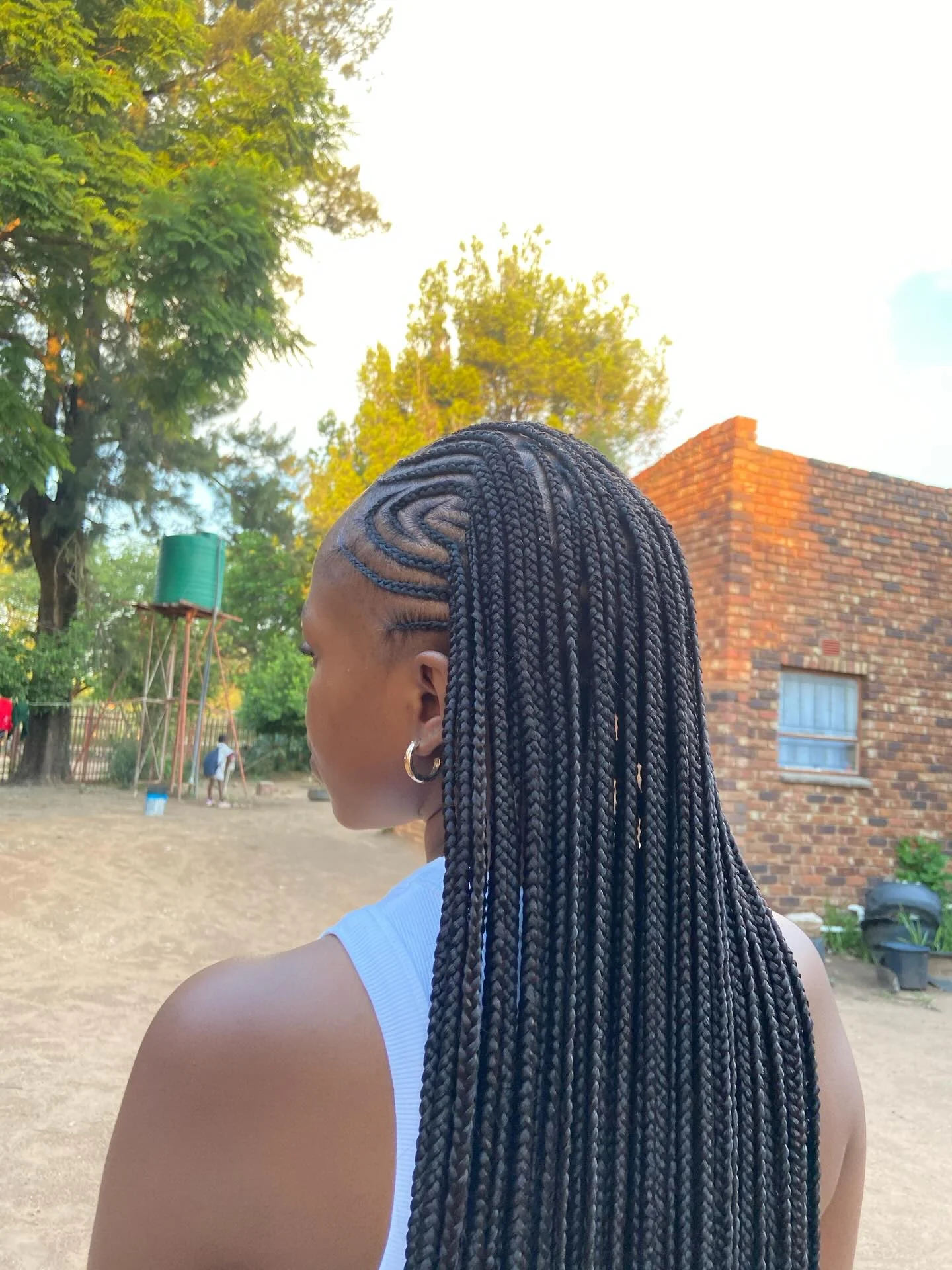 regal summer hairstyle black women 2026 Precision Tribal Braids With Sculpted Parting