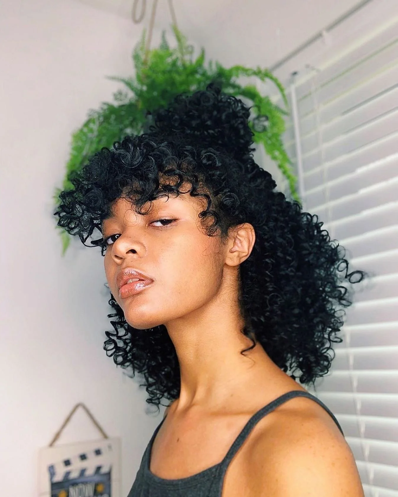 regal summer hairstyle black women 2026 Curly Half-Up Shape With Soft Fringe