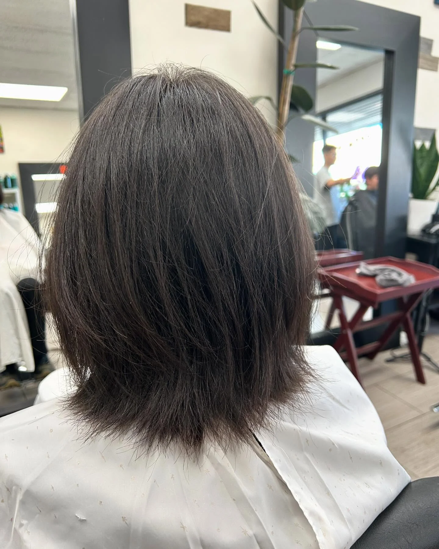 light summer haircuts for medium hair 2026 Soft Textured Medium Cut With Feathered Ends