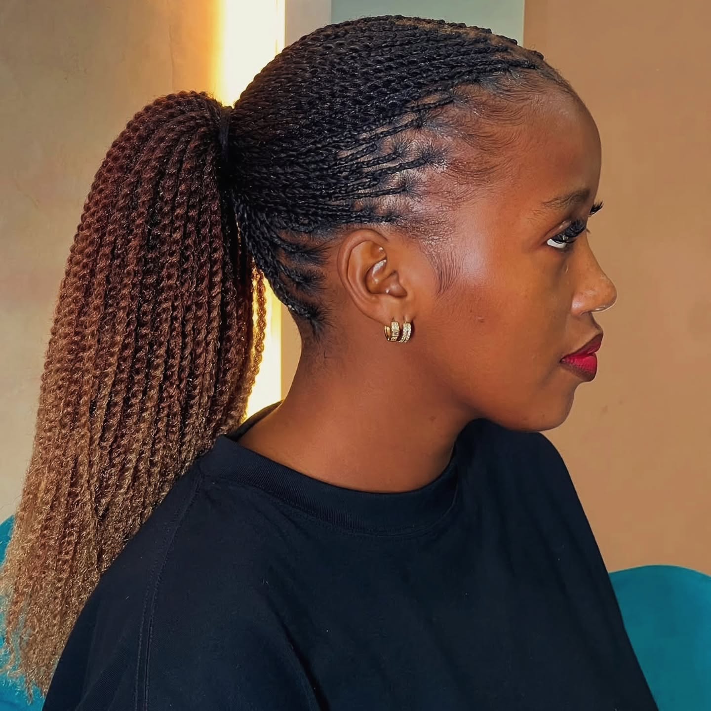 regal summer hairstyle black women 2026 Sleek Braided Ponytail With Rich Espresso Length