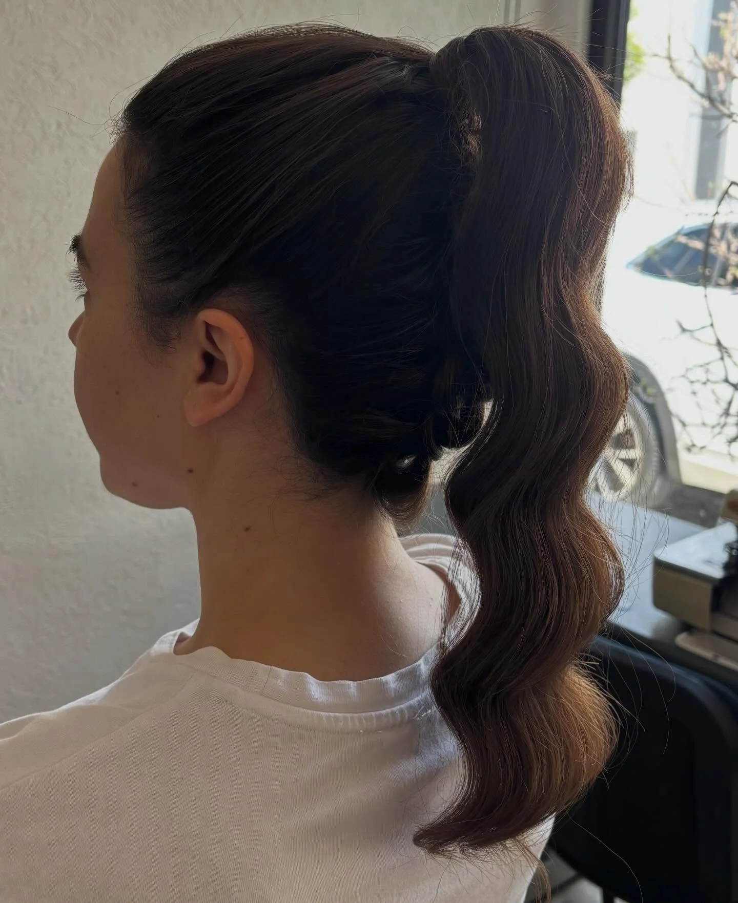 polished summer ponytail hairstyle 2026 Glossy Espresso High Ponytail With Soft Sculpted Waves
