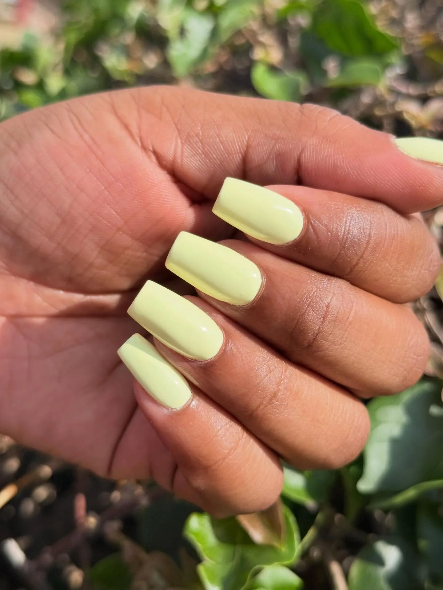 plain summer nails 2026 Pastel Pistachio Square Nails With A Playful Twist